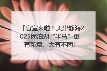 官宣来啦！天津静海2025团泊湖“半马”更有新意、大有不同