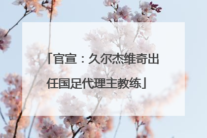 官宣：久尔杰维奇出任国足代理主教练