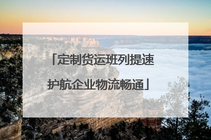 定制货运班列提速 护航企业物流畅通