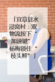 宜章县水浸窝村：双物流按下“加速键” 杨梅锁住“枝头鲜”