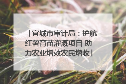 宜城市审计局：护航红薯育苗灌溉项目 助力农业增效农民增收