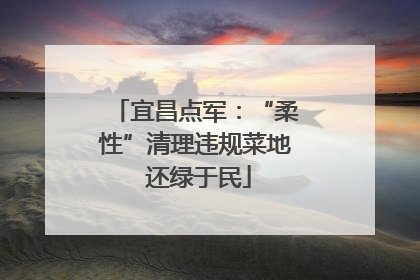 宜昌点军：“柔性”清理违规菜地 还绿于民