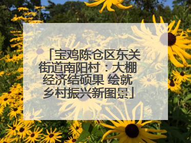 宝鸡陈仓区东关街道南阳村：大棚经济结硕果 绘就乡村振兴新图景