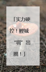 实力硬控！鲤城“圳”出圈！
