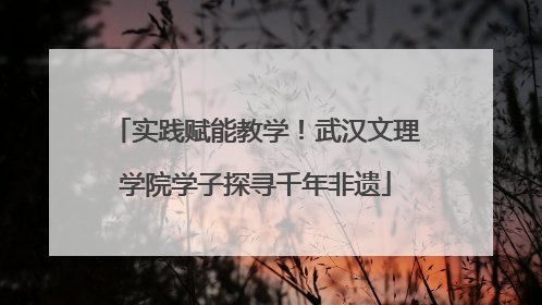 实践赋能教学！武汉文理学院学子探寻千年非遗