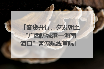 客货并行、夕发朝至 “广西防城港—海南海口”客滚航线首航