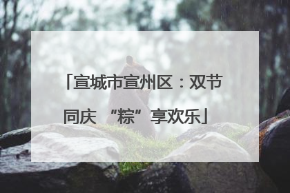宣城市宣州区：双节同庆 “粽”享欢乐