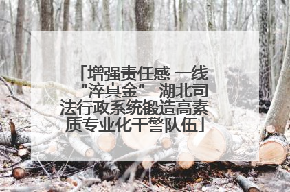 增强责任感 一线“淬真金” 湖北司法行政系统锻造高素质专业化干警队伍