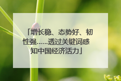 增长稳、态势好、韧性强……透过关键词感知中国经济活力