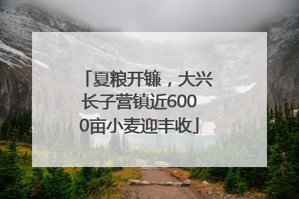 夏粮开镰，大兴长子营镇近6000亩小麦迎丰收