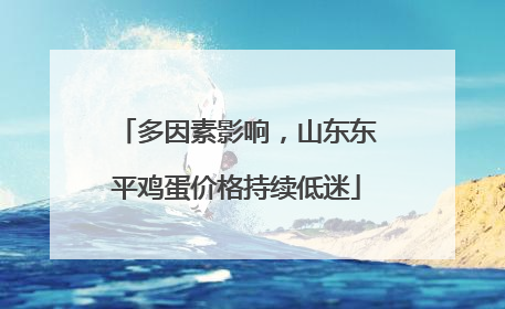 多因素影响，山东东平鸡蛋价格持续低迷