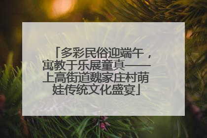 多彩民俗迎端午，寓教于乐展童真——上高街道魏家庄村萌娃传统文化盛宴