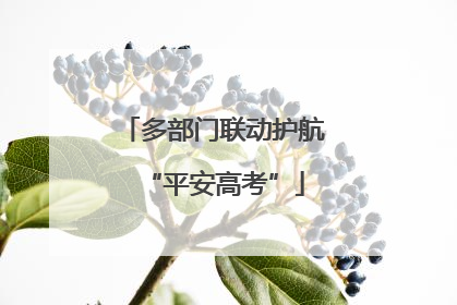 多部门联动护航“平安高考”