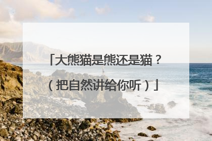 大熊猫是熊还是猫？（把自然讲给你听）