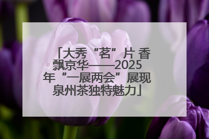 大秀“茗”片 香飘京华——2025年“一展两会”展现泉州茶独特魅力