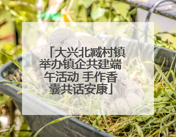 大兴北臧村镇举办镇企共建端午活动 手作香囊共话安康
