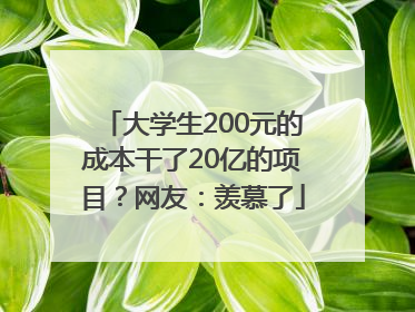大学生200元的成本干了20亿的项目？网友：羡慕了