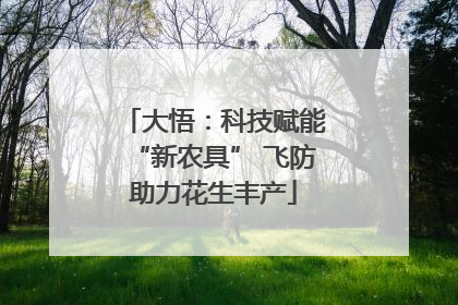 大悟：科技赋能“新农具” 飞防助力花生丰产