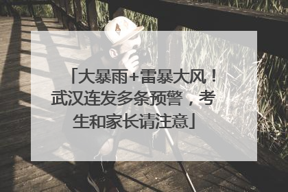 大暴雨+雷暴大风！武汉连发多条预警，考生和家长请注意