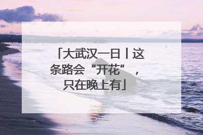 大武汉一日丨这条路会“开花”，只在晚上有
