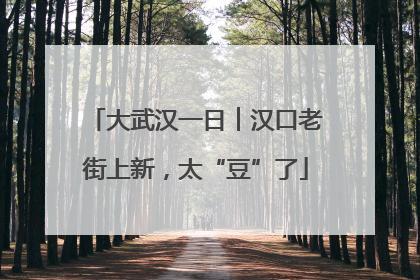 大武汉一日︱汉口老街上新，太“豆”了