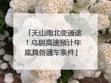 天山南北变通途！乌尉高速预计年底具备通车条件