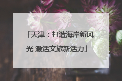 天津：打造海岸新风光 激活文旅新活力