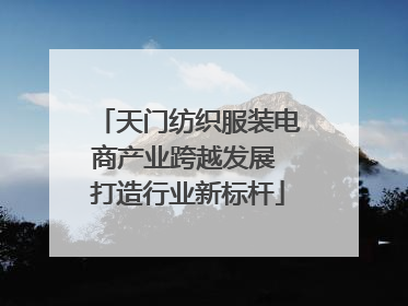 天门纺织服装电商产业跨越发展 打造行业新标杆