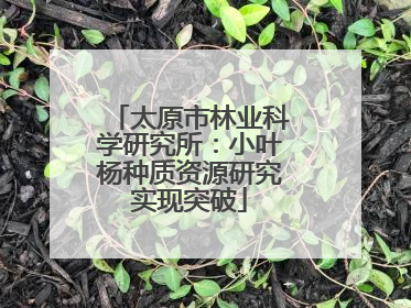 太原市林业科学研究所：小叶杨种质资源研究实现突破