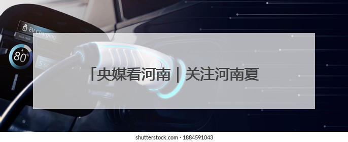 央媒看河南｜关注河南夏收夏种 野生动物等内容