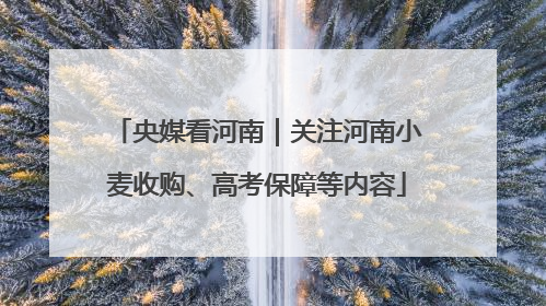 央媒看河南｜关注河南小麦收购、高考保障等内容