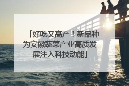 好吃又高产！新品种为安徽蔬菜产业高质发展注入科技动能