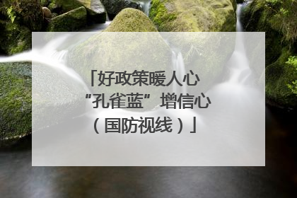 好政策暖人心 “孔雀蓝”增信心（国防视线）