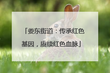 娄东街道：传承红色基因，赓续红色血脉