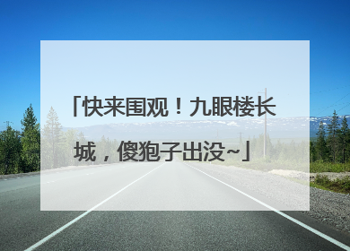快来围观！九眼楼长城，傻狍子出没~