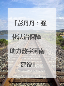 彭丹丹：强化法治保障 助力数字河南建设