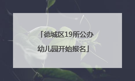 德城区19所公办幼儿园开始报名