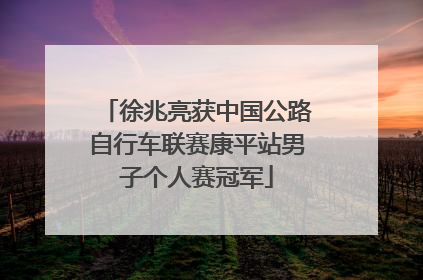 徐兆亮获中国公路自行车联赛康平站男子个人赛冠军