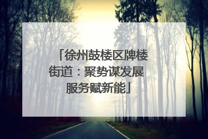 徐州鼓楼区牌楼街道：聚势谋发展 服务赋新能