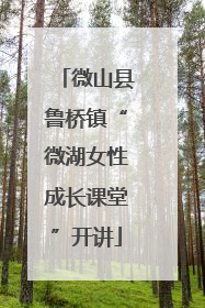 微山县鲁桥镇“微湖女性成长课堂”开讲