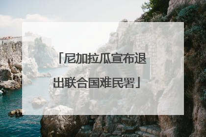 尼加拉瓜宣布退出联合国难民署