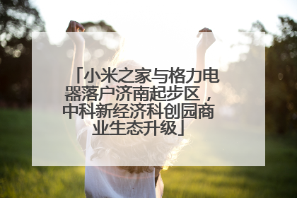 小米之家与格力电器落户济南起步区，中科新经济科创园商业生态升级