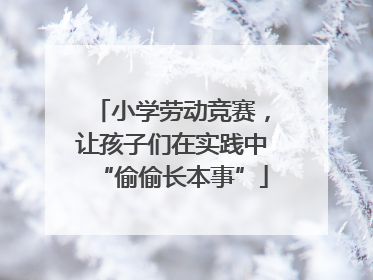 小学劳动竞赛，让孩子们在实践中“偷偷长本事”
