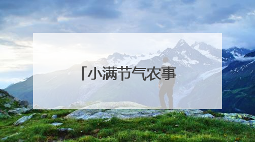 小满节气农事忙 又是一年好“丰”光