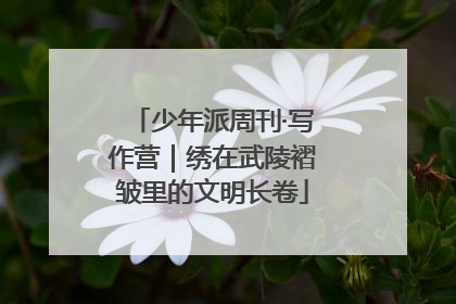 少年派周刊·写作营｜绣在武陵褶皱里的文明长卷
