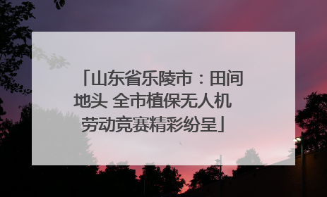 山东省乐陵市：田间地头 全市植保无人机劳动竞赛精彩纷呈