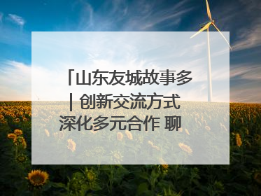 山东友城故事多｜创新交流方式 深化多元合作 聊城加速构建全球友城新格局
