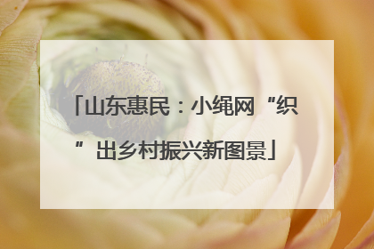 山东惠民：小绳网“织”出乡村振兴新图景