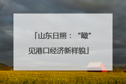 山东日照：“瞰”见港口经济新样貌