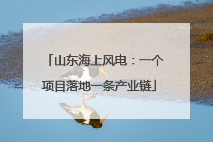 山东海上风电：一个项目落地一条产业链